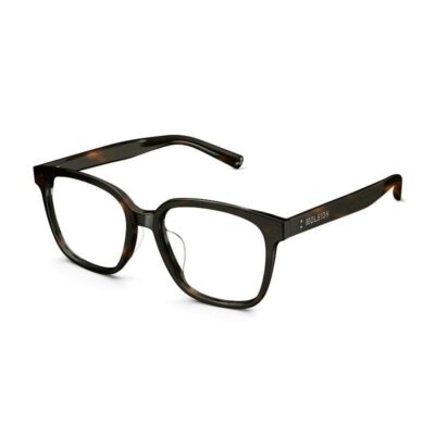 Gọng kính Unisex MOLSION MJ3098 B20